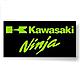 Home for all owners of Kawasaki sports bikes, from ZXR250's to ZX-14's
